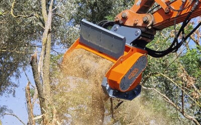 TRINCIA FORESTALE PER ESCAVATORE: MEGLIO NUOVA O USATA?