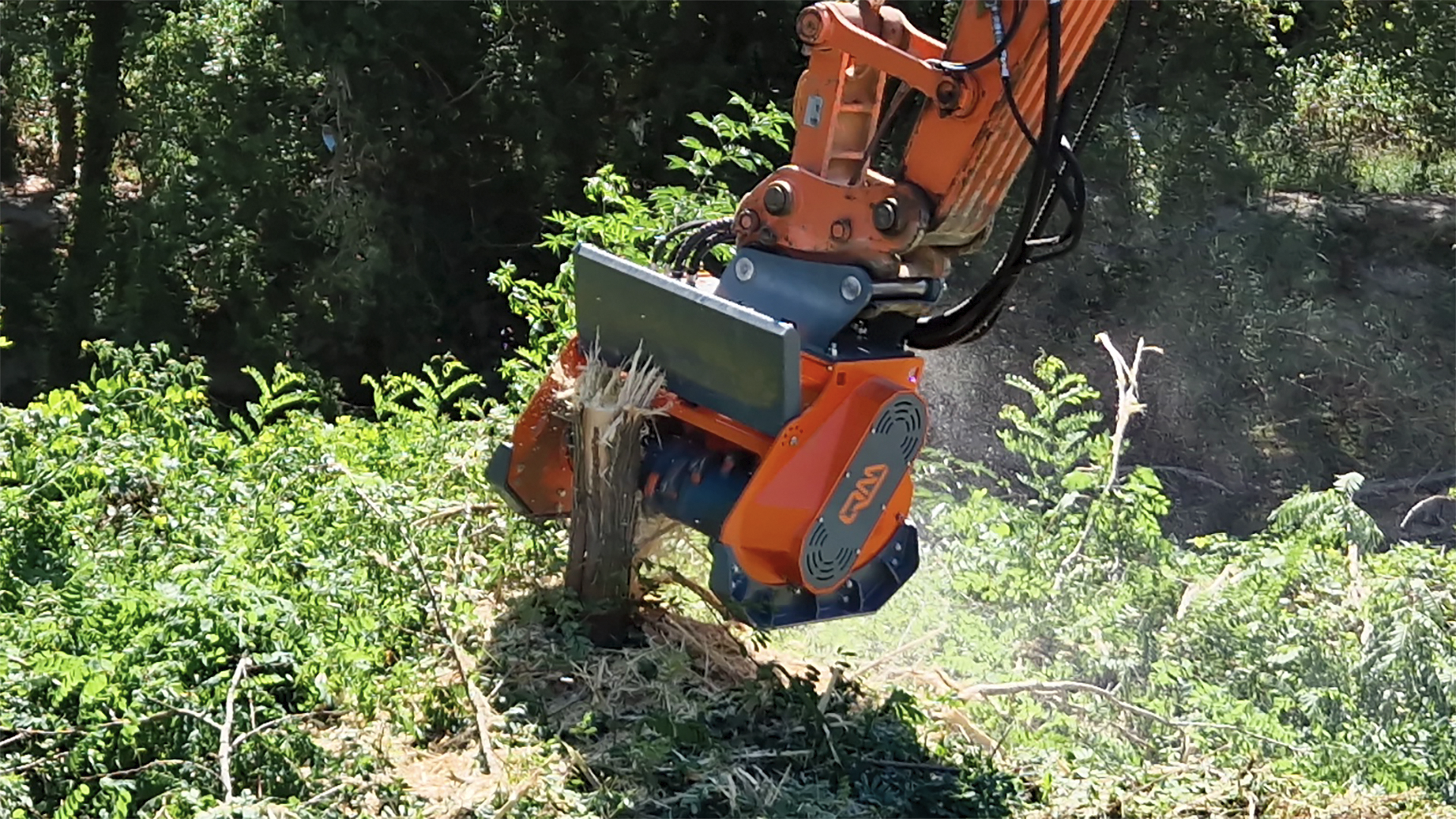 Forstmulcher fr 100 an Ort und Stelle Forstwirtschaftliches Mulchgerät auf Baumstamm