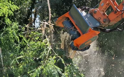 TRINCIA FORESTALE PER ESCAVATORE